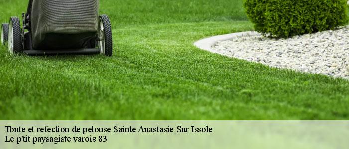 Tonte et refection de pelouse  83136