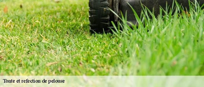 Tonte et refection de pelouse  83270
