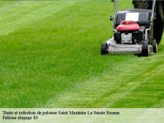 Tonte et refection de pelouse  saint-maximin-la-sainte-baume-83470 Fallone elagage 83
