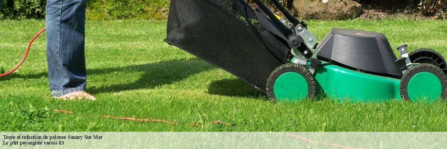 Tonte et refection de pelouse 83110