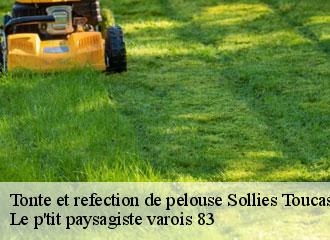 Tonte et refection de pelouse  sollies-toucas-83210 Le p'tit paysagiste varois 83