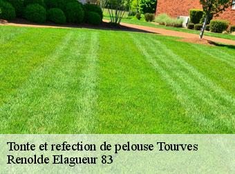 Tonte et refection de pelouse tourves-83170 Renolde Elagueur 83