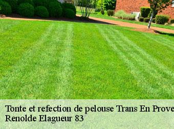 Tonte et refection de pelouse  trans-en-provence-83720 Renolde Elagueur 83