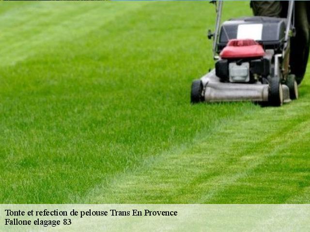 Tonte et refection de pelouse trans-en-provence-83720 Fallone elagage 83