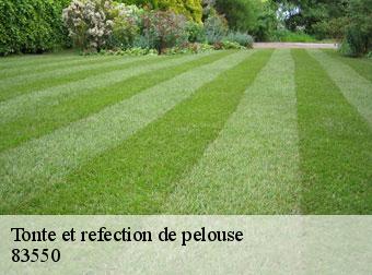 Tonte et refection de pelouse 83550