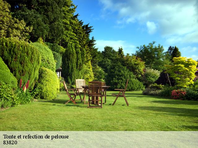Tonte et refection de pelouse 83820