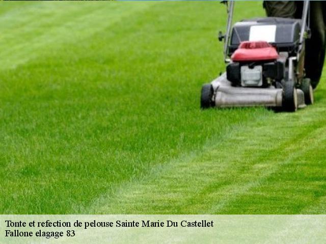 Tonte et refection de pelouse  sainte-marie-du-castellet-83330 Fallone elagage 83
