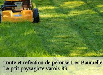 Tonte et refection de pelouse  les-baumelles-83270 Le p'tit paysagiste varois 83