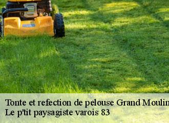 Tonte et refection de pelouse  grand-moulin-83740 Le p'tit paysagiste varois 83