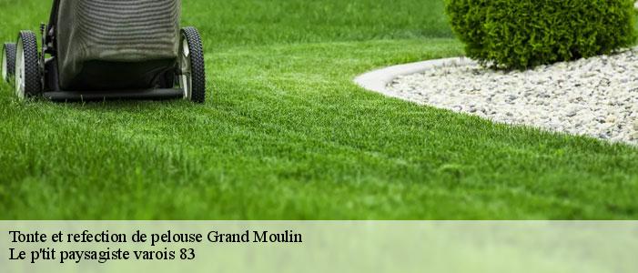 Tonte et refection de pelouse  83740