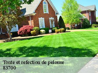 Tonte et refection de pelouse 83700