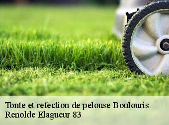 Tonte et refection de pelouse 83700