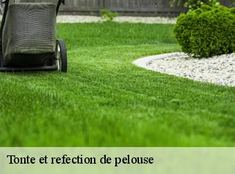 Tonte et refection de pelouse 83700