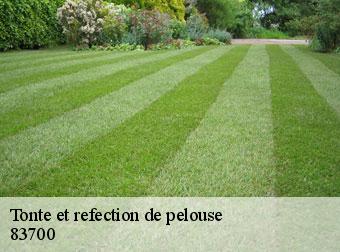 Tonte et refection de pelouse 83700