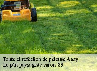 Tonte et refection de pelouse  agay-83530 Le p'tit paysagiste varois 83