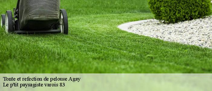 Tonte et refection de pelouse  83530