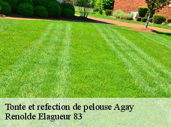 Tonte et refection de pelouse agay-83530 Renolde Elagueur 83