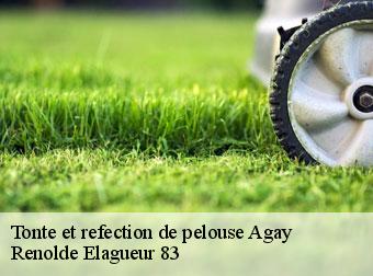 Tonte et refection de pelouse 83530