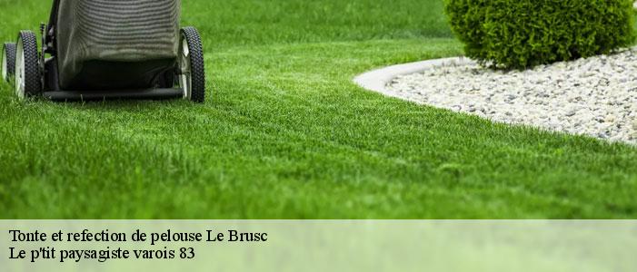 Tonte et refection de pelouse  83140