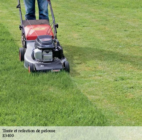 Tonte et refection de pelouse  83400