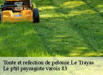 Tonte et refection de pelouse  le-trayas-83700 Le p'tit paysagiste varois 83 