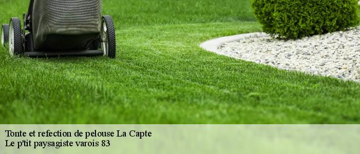 Tonte et refection de pelouse  83400