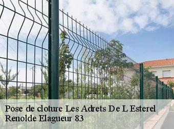 Pose de cloture les-adrets-de-l-esterel-83600 Renolde Elagueur 83