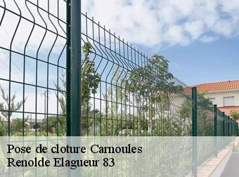 Pose de cloture carnoules-83660 Renolde Elagueur 83
