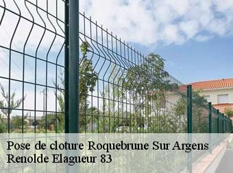 Pose de cloture roquebrune-sur-argens-83520 Renolde Elagueur 83