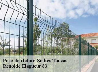 Pose de cloture sollies-toucas-83210 Renolde Elagueur 83