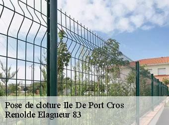 Pose de cloture  ile-de-port-cros-83400 Renolde Elagueur 83