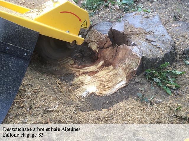 Dessouchage arbre et haie  aiguines-83630 Fallone elagage 83