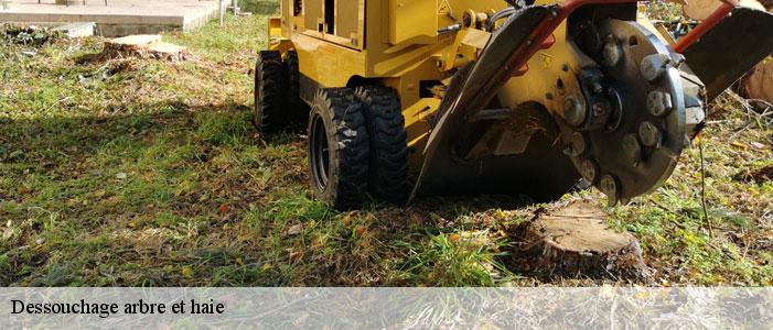 Dessouchage arbre et haie  83460