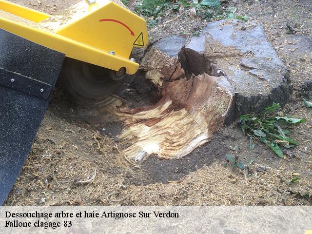 Dessouchage arbre et haie  artignosc-sur-verdon-83630 Fallone elagage 83
