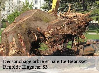 Déssouchage