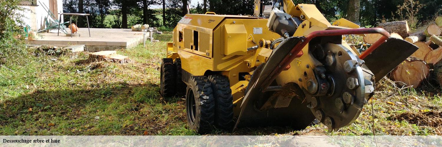 Dessouchage arbre et haie  83230