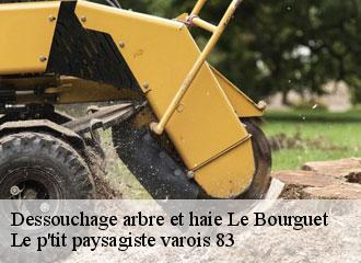 Dessouchage arbre et haie  le-bourguet-83840 Le p'tit paysagiste varois 83