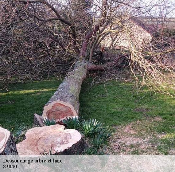 Dessouchage arbre et haie  83840
