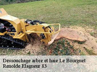 Dessouchage arbre et haie  83840