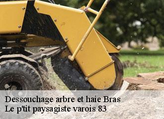 Dessouchage arbre et haie  bras-83149 Le p'tit paysagiste varois 83