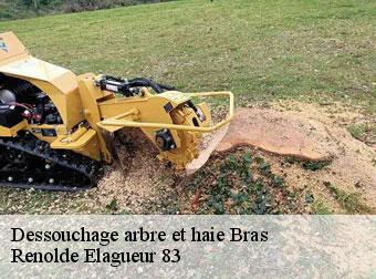 Dessouchage arbre et haie  83149