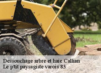 Dessouchage arbre et haie  callian-83440 Le p'tit paysagiste varois 83