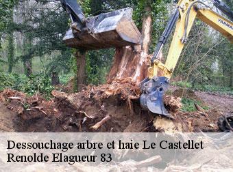 Dessouchage arbre et haie le-castellet-83330 Renolde Elagueur 83