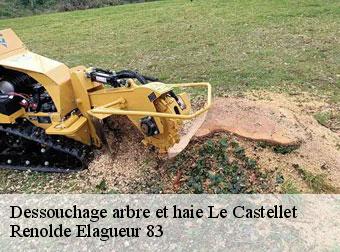 Dessouchage arbre et haie 83330