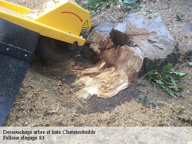 Dessouchage arbre et haie chateaudouble-83300 Fallone elagage 83