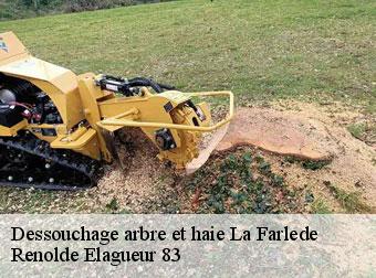 Dessouchage arbre et haie  83210
