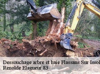 Dessouchage arbre et haie  flassans-sur-issole-83340 Renolde Elagueur 83