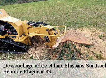 Dessouchage arbre et haie  83340