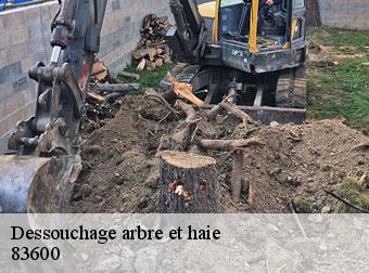 Dessouchage arbre et haie 83600