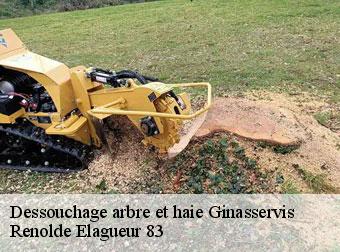 Dessouchage arbre et haie 83560